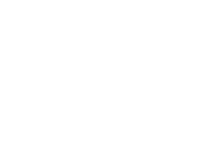 Chanz logo