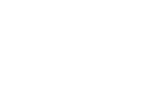 Hellwinz logo